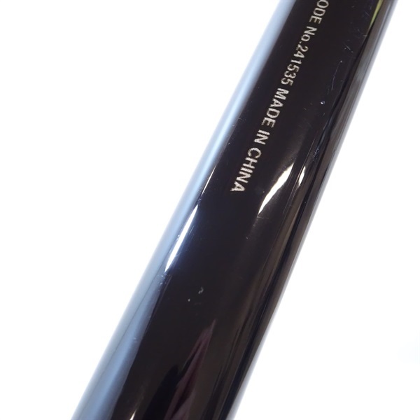 ２１アオリスタ５００